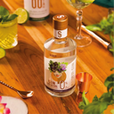 SoberGin3.png.webp