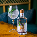 GinTonic1.png.webp