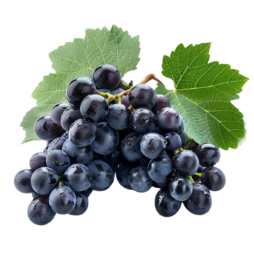 Raisins Muscat Hambourg - 500 Gr