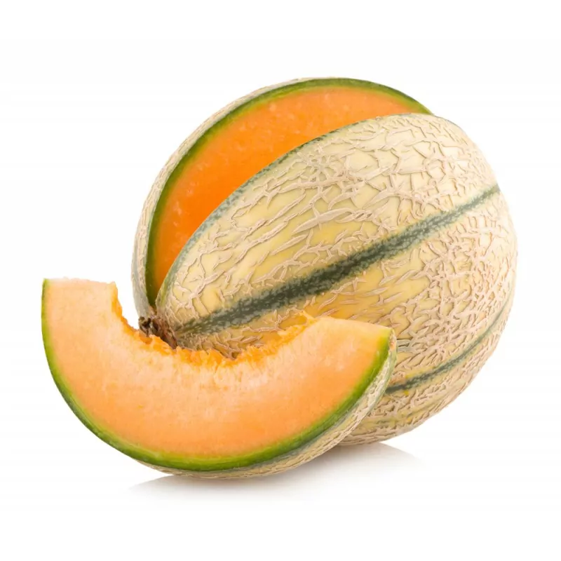 Melon Cavaillon - 1 Pièce