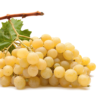 Raisins Blancs Muscat Italie - 1 Kg