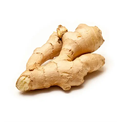 Gingembre Frais - La Racine