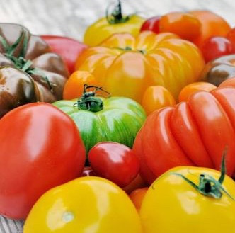 Tomates Pleine Terre 1 Kg - PROVENCE