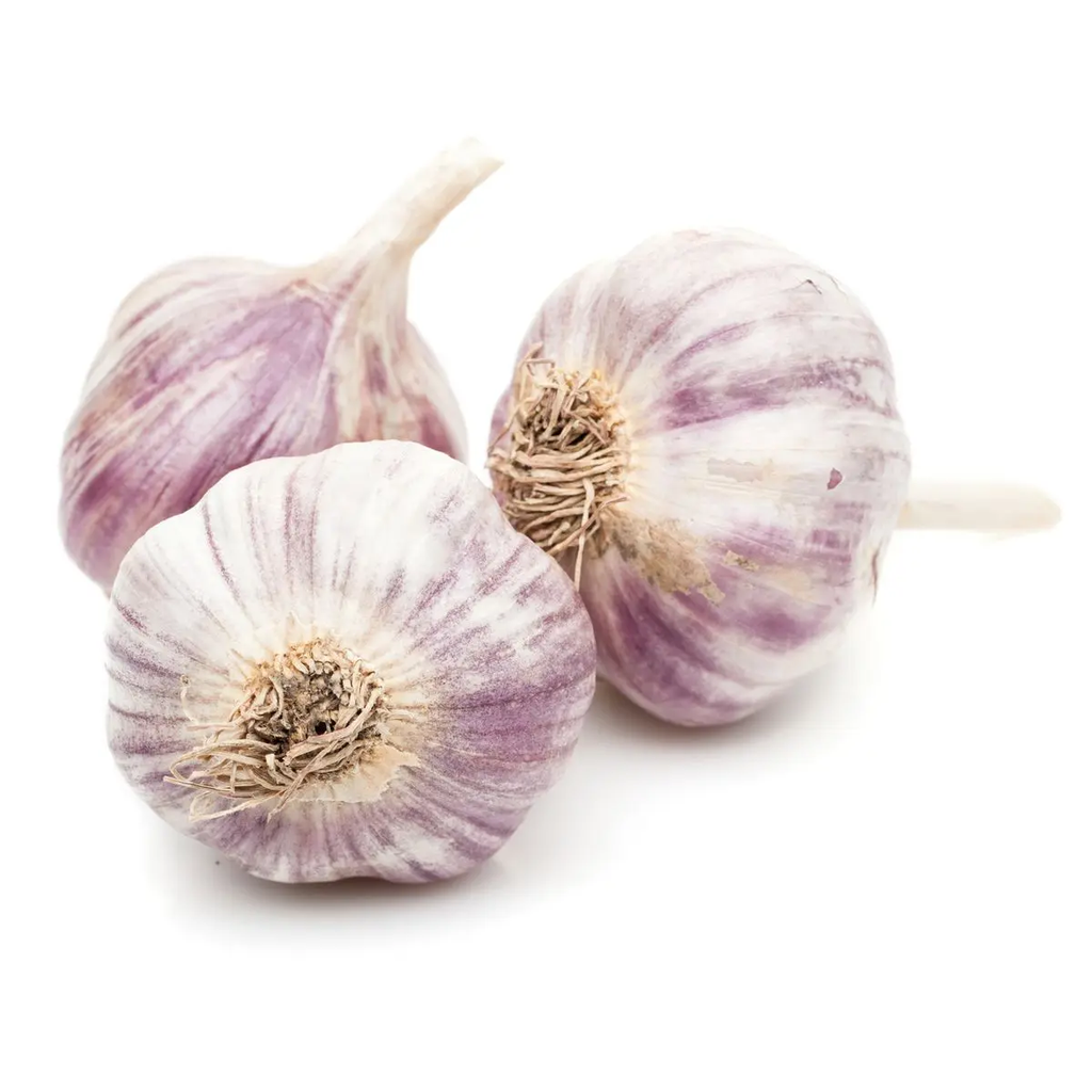 Ail Provence- 3 Pièces