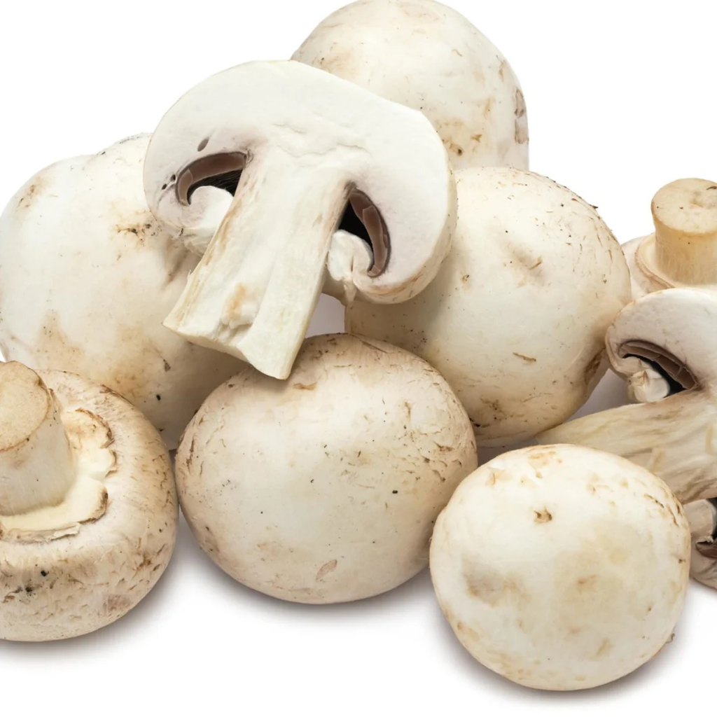 Champignon - 1 Ravier 250 Gr