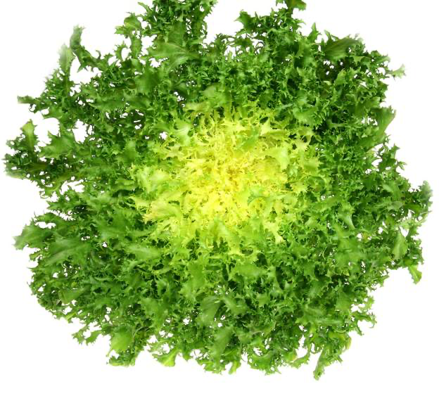 Salade Frisée Blanche - 1 Pièce