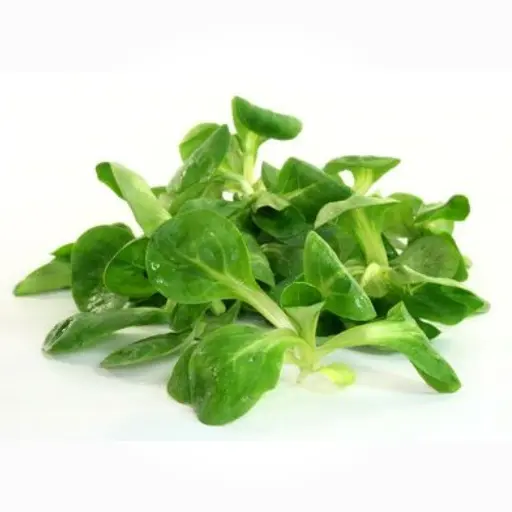 Salade de Blé Mache - 200Gr