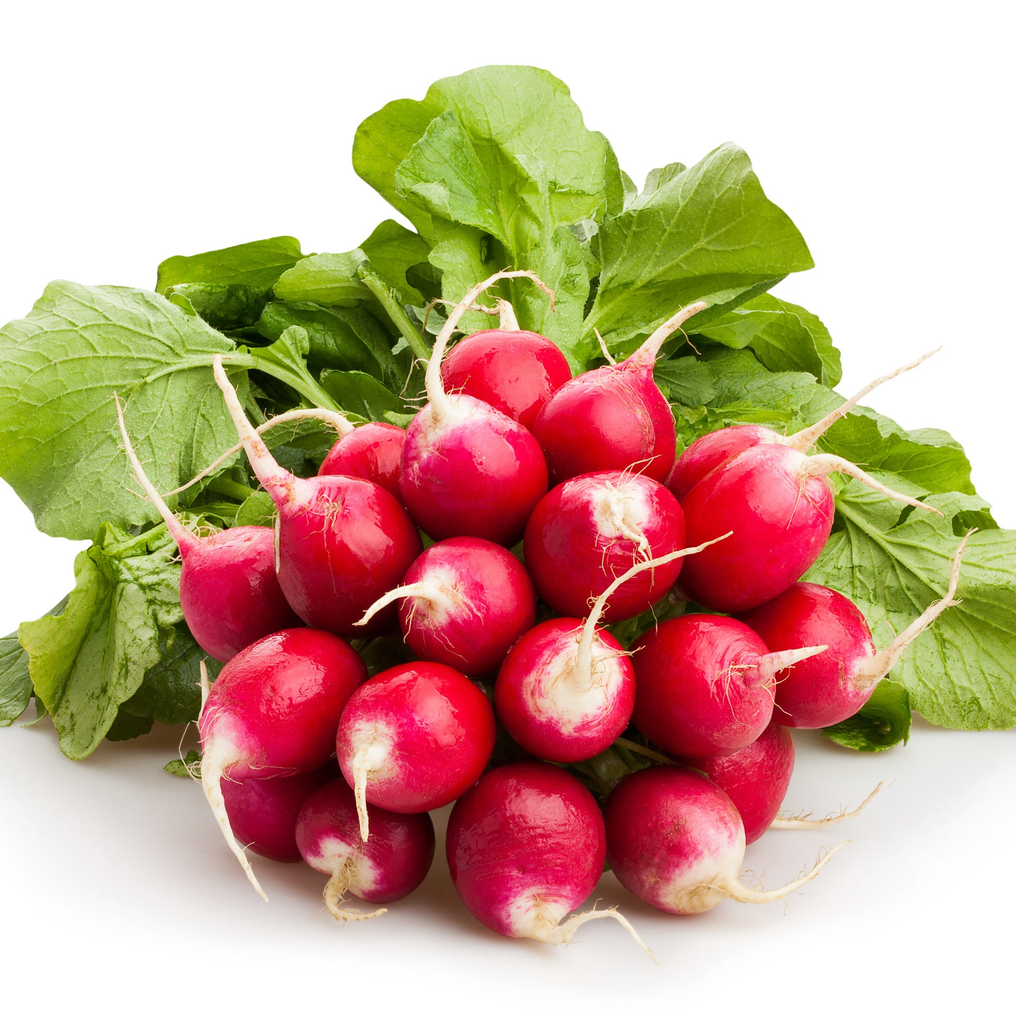 Radis Rouge - 1 Botte