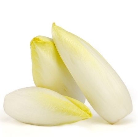 Endives (Chicons) Pl. Terre - 1er Choix - 500 Gr