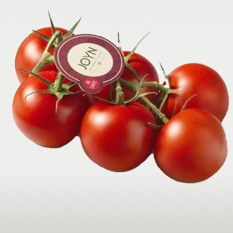 Tomates Rèves - 1/2 Kg