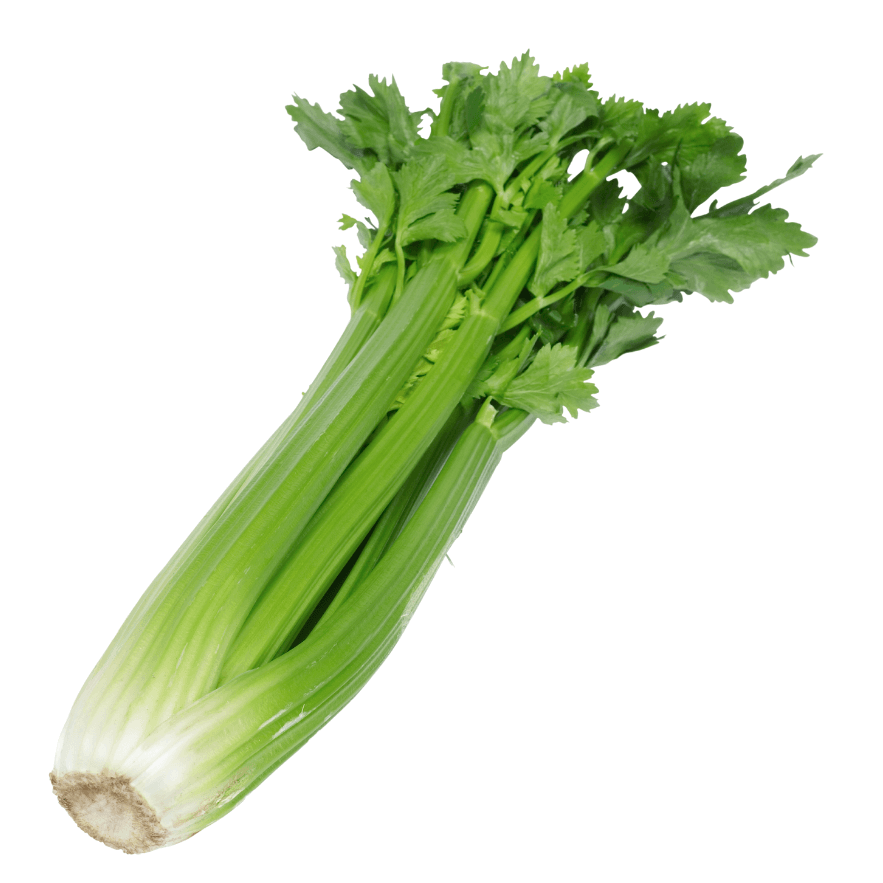 Céleri Branche - 1 Botte