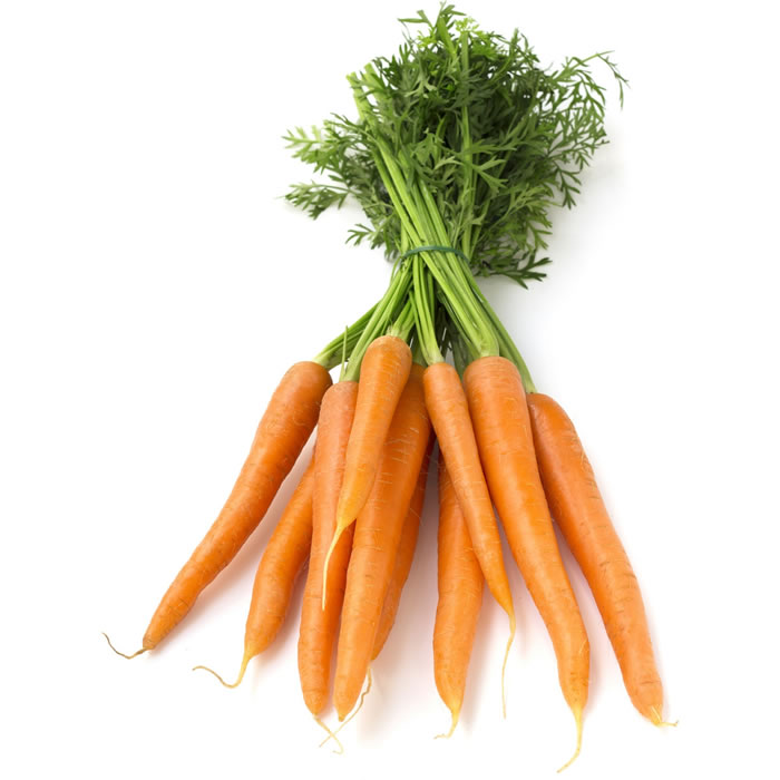 Carotte Fane - 1 Botte