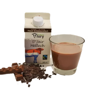 Lait frais entier chocolaté 3,5 % M.G - Thiry Molkerei - 500ml
