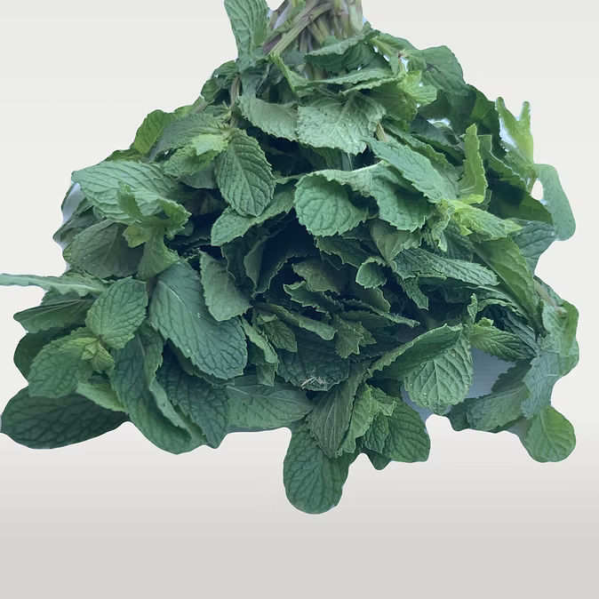 Botte de Menthe - 75 Gr