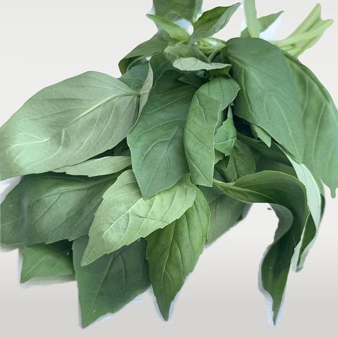 Botte de Basilic - 75 Gr