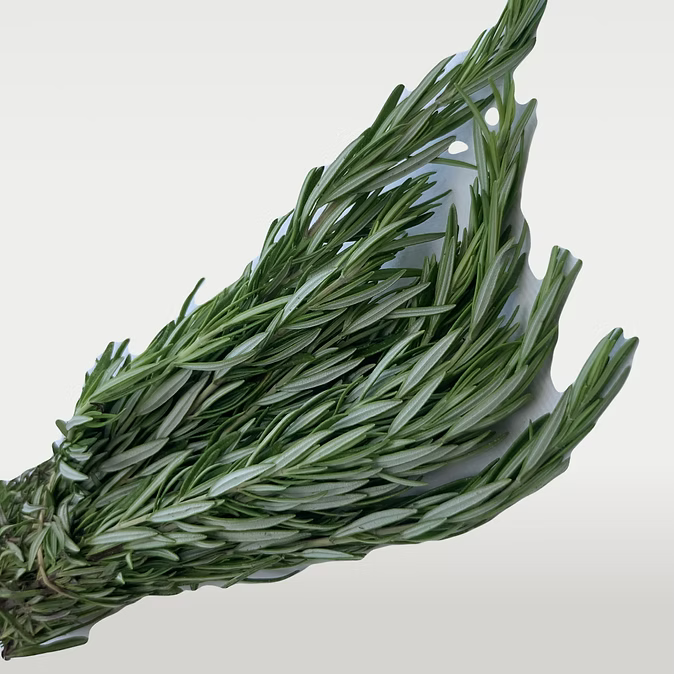 Botte de Romarin - 75 Gr