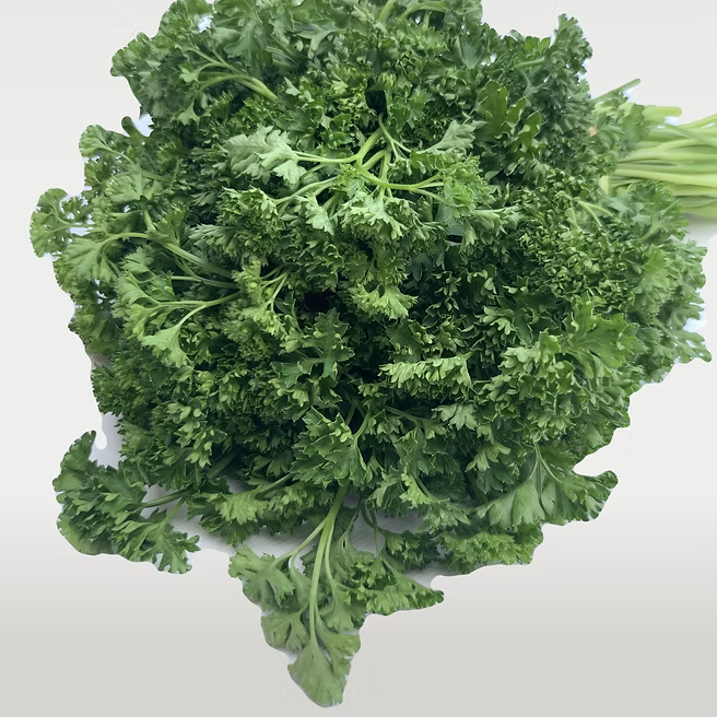 Persil Frisé - 1 Botte