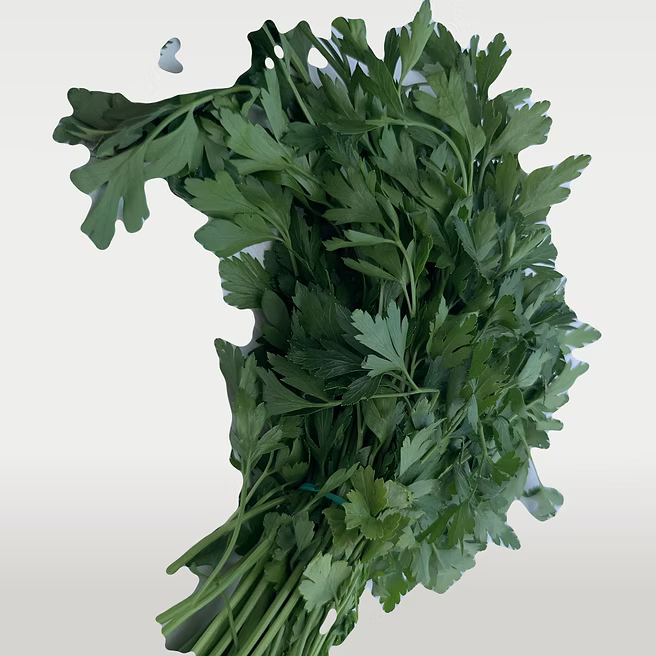 Persil Plat - 1 Botte