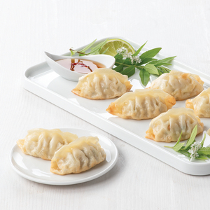 Gyozas au Poulet