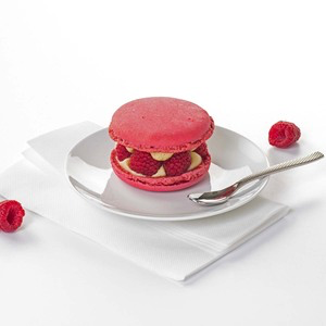Macaron Vanille Framboise