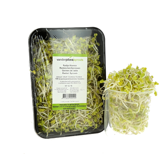 Germe de Radis - 100 g
