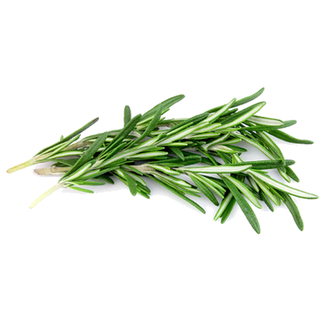 Romarin Barquette- 200 g