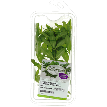 Verveine - 15-16 pièces - 10 g