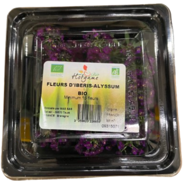 Fleur Ibéris Bio